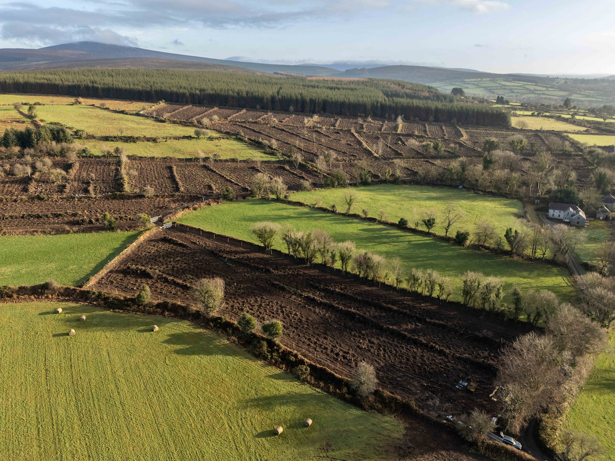 Aerial view of the Guaranteed Irish Forest, Co. Kilkenny